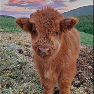 Meet your Posher, Rilee